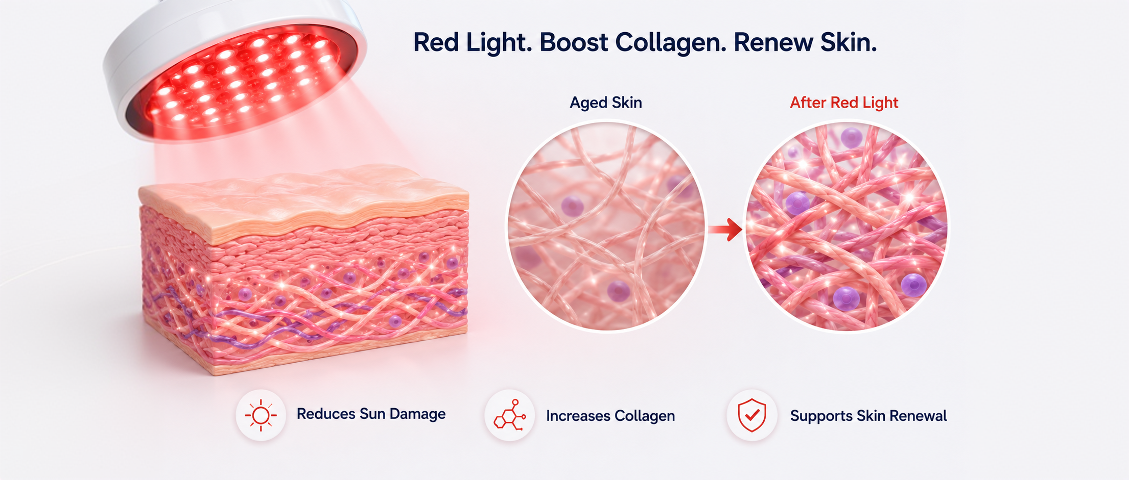 Collagen structure